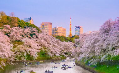 Imagem de destaque para Ecoturismo Urbano: 13 parques e reservas naturais nas grandes metrópoles do mundo